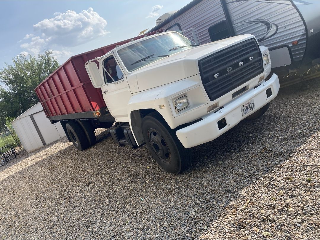 White Ford dump truck with red dump bed, front three-quarter view